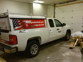 Wholesale vehicle wrap installation Northeast OH