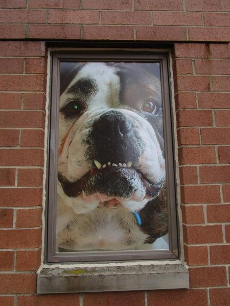 Business Window Sign Cleveland, Oh